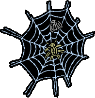 Spiders graphics