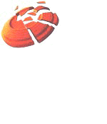 Sports graphics