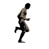 Sports graphics
