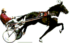 Sports graphics