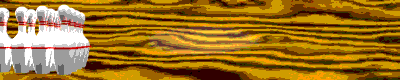 Sports graphics