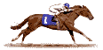 Sports graphics