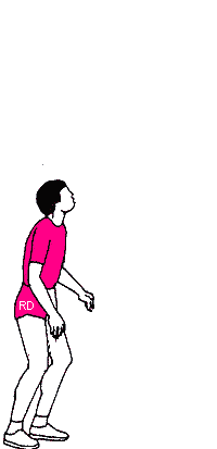 Sports graphics