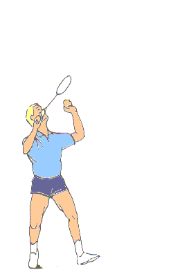 Sports graphics