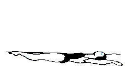 Sports graphics