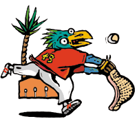 Sports graphics