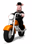 Sports graphics