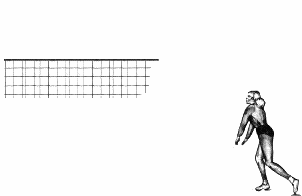 Sports graphics