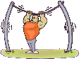 Sports graphics
