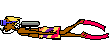 Sports graphics