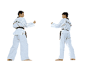 Sports graphics