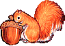 Squirrel graphics