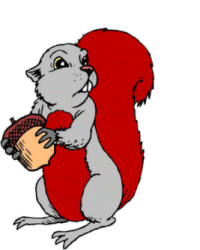 Squirrel graphics