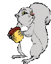 Squirrel graphics