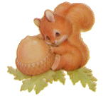 Squirrel graphics