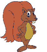 Squirrel graphics