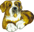 St bernard dog graphics