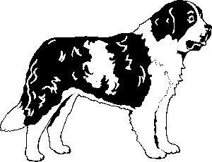 St bernard dog graphics