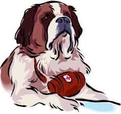 St bernard dog