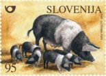Stamps graphics