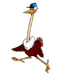 Stork graphics