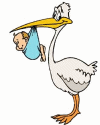 graphics-stork-307635.gif