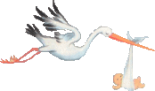 Stork graphics