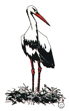 Stork graphics