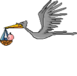 Stork graphics