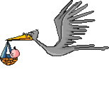 Stork