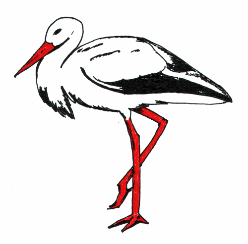 Stork graphics