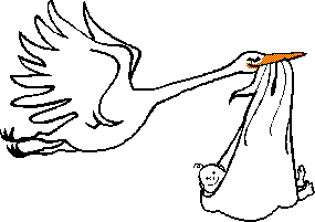 Stork