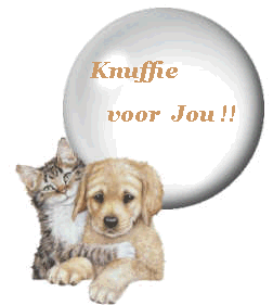 Stuffed toys graphics