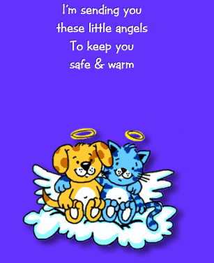 Stuffed toys graphics