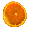 Subtropical fruit graphics