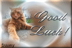 Success graphics