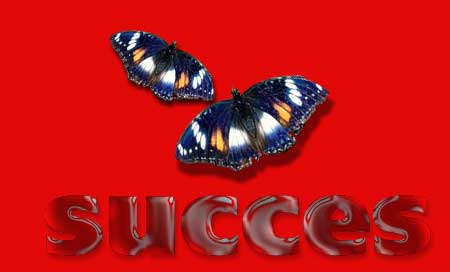 Success graphics