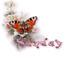 Sunday graphics