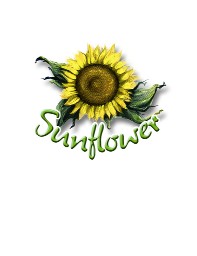 Sunflowers graphics