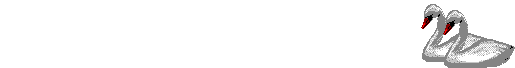 Swans graphics