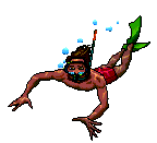 Swimming graphics