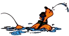 Swimming graphics