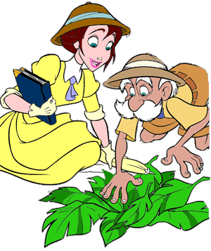 Tarzan graphics