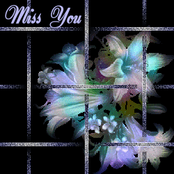 Text animations graphics