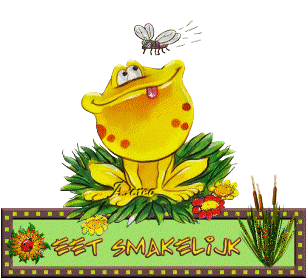 Text animations graphics