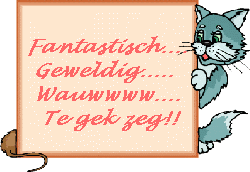 Text animations graphics