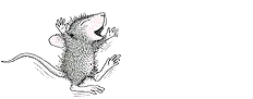 Text animations graphics