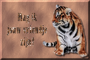Text animations graphics