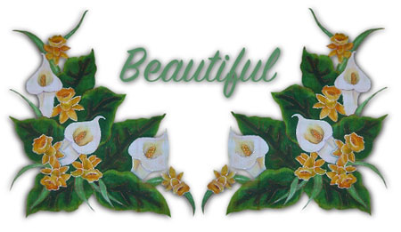 Text animations graphics
