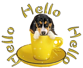 Text animations graphics